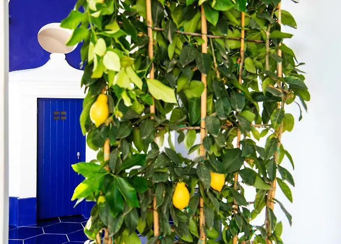 Imperati By Alcione Bed & Breakfast